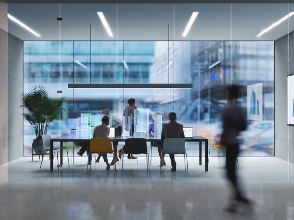 Limited Company Support Services